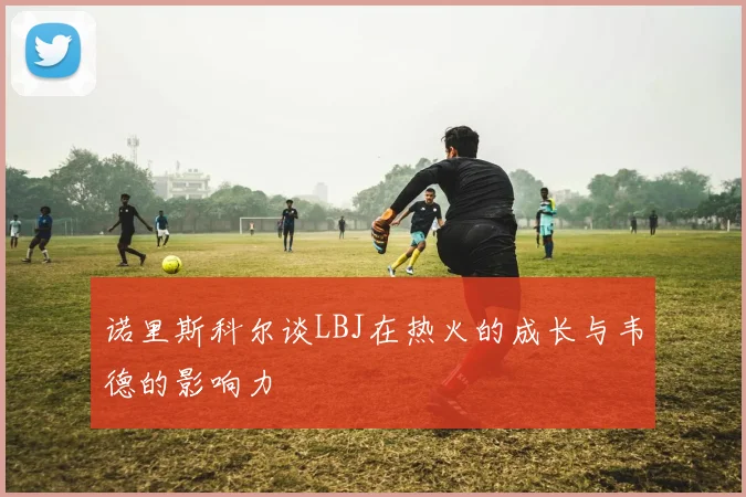 诺里斯科尔谈LBJ在热火的成长与韦德的影响力