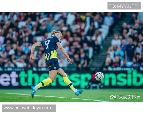 哈兰德帽子戏法统计分析曼城挪威多特表现各异